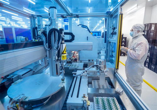 光谷高端光電子產品節前加緊出貨，機械科技賦能高效生產